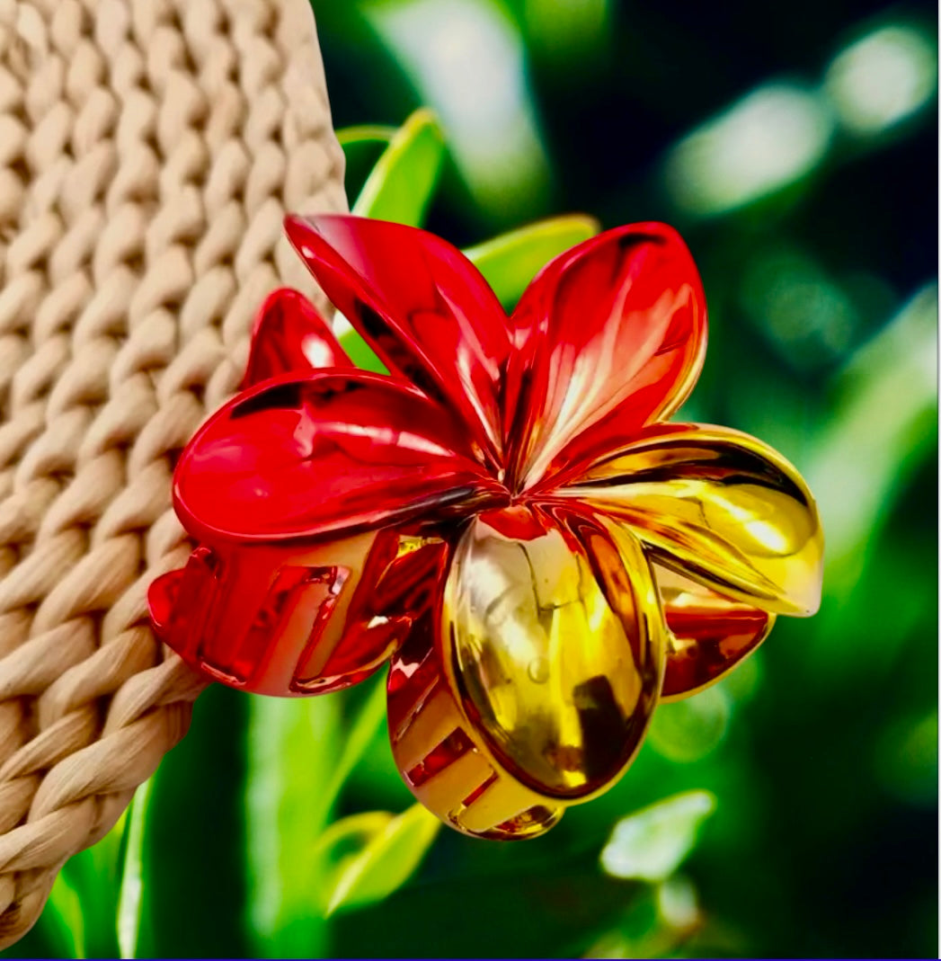 Hair Claw Collection Ready to Ship