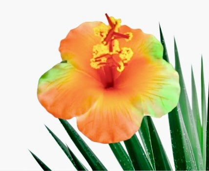 Tina-Hibiscus Flower Sticks-Multicolor 3.7 inch