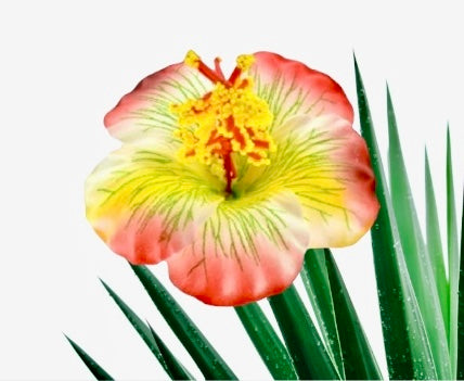 Tina-Hibiscus Flower Sticks-Multicolor 3.7 inch