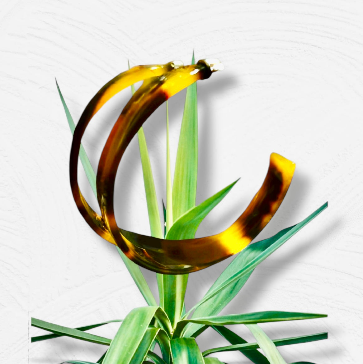 Sophia - Ready to Ship-Extra Large Faux Turtle Hoop Earrings - Statement Jewelry