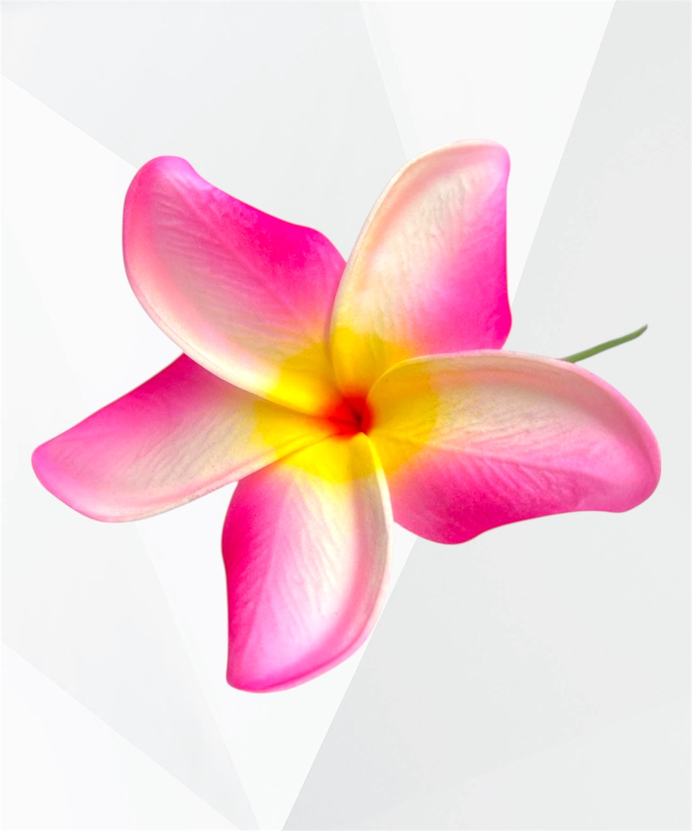 Pualani - Ready to Ship-Large 4" Plumeria Foam Flower Hair Stick